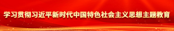 婊子高潮喷水被操学习贯彻习近平新时代中国特色社会主义思想主题教育